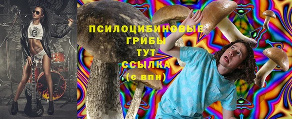 mdpv Белокуриха