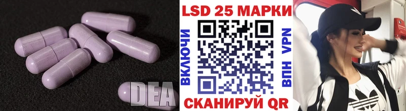 Лсд 25 экстази ecstasy  Купить закладки  Новоузенск 