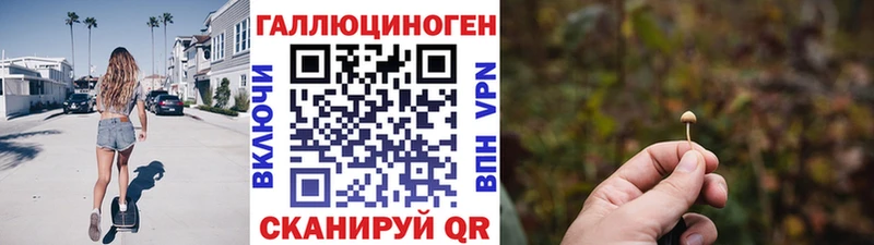 Псилоцибиновые грибы Cubensis  Купить закладки  Новоузенск 